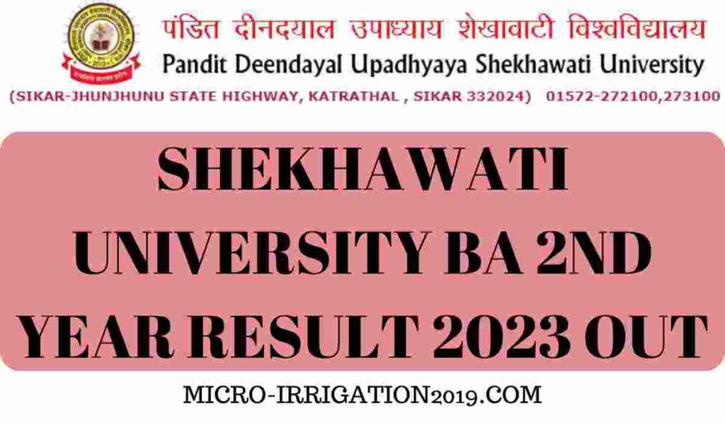 Shekhawati University BA 2nd Year Result 2023